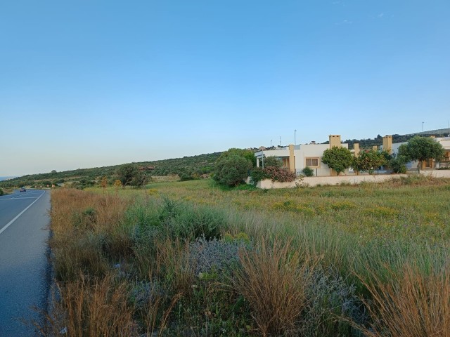6 DECADES OF LAND FOR SALE IN İSKELE, SİPAHI