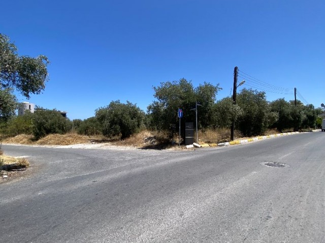 Land for sale in an easily accessible location