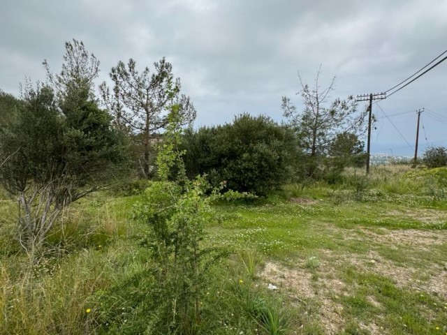 Grundstück zum Verkauf in Karmi mit Berg- und Meerblick