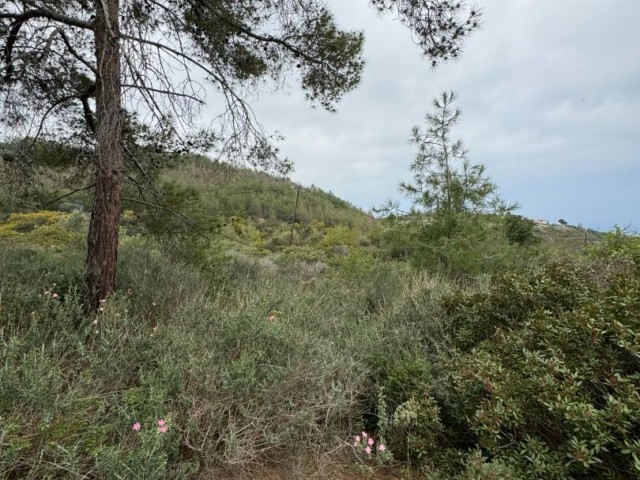 Land for sale in Karmi with Mountain and Sea Views