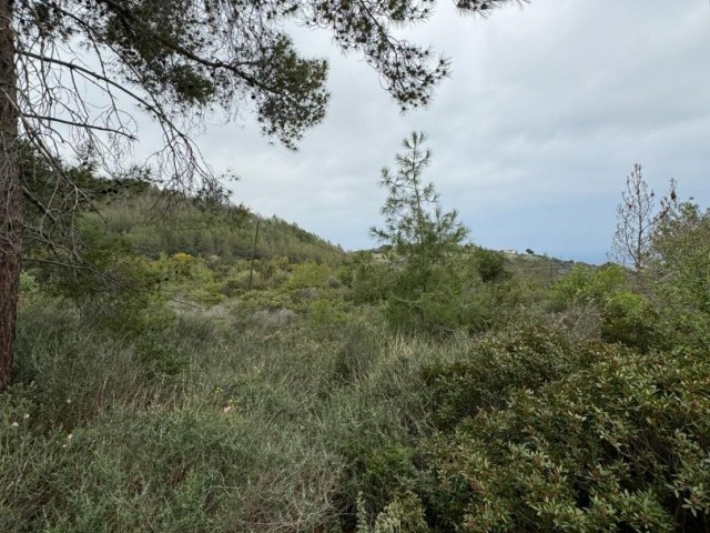 Grundstück zum Verkauf in Karmi mit Berg- und Meerblick