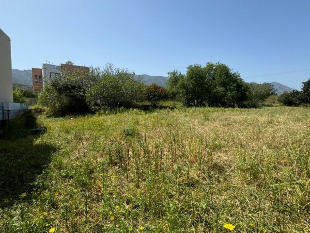 Field with 4 Flats for Sale in Alsancak