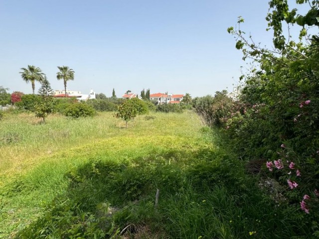 Land for Sale with Project in Ozankoy