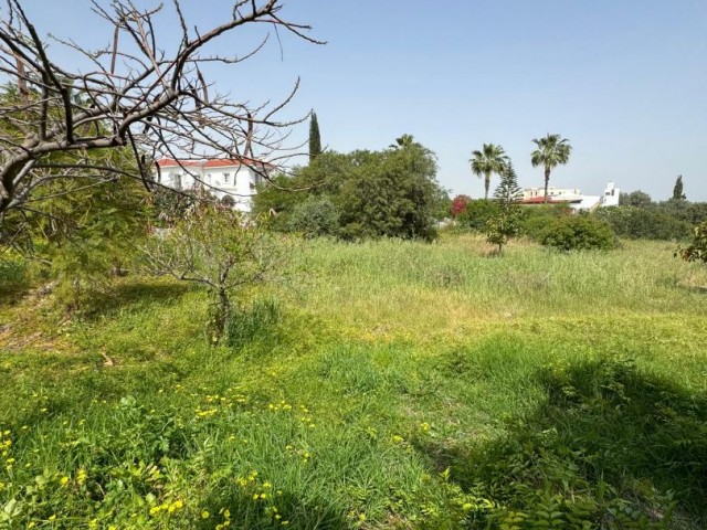 Land for Sale with Project in Ozankoy