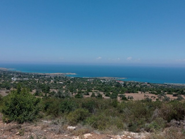 FOR SALE BY OWNER 1172m² of land in Sipahi with a superb sea view, with the sea under its feet. Serious buyers contact 05488576544