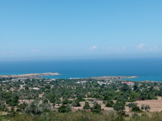 منطقه مسکونی برای فروش in Sipahi, ایسکله