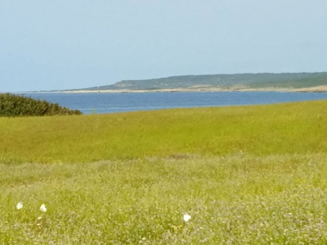 Feld Zu verkaufen in Yeni Erenköy, Iskele