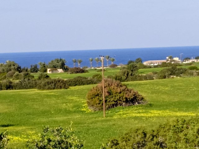 Land for Sale by Owner in Yeni Erenköy