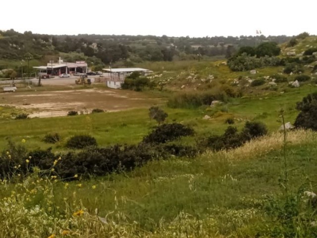 Land for sale in Yeşilköy