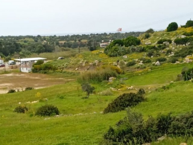 Grundstück zum Verkauf in Yeşilköy