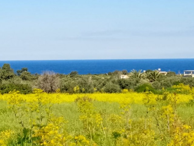 زمین برای فروش توسط مالک در Yeni Erenköy