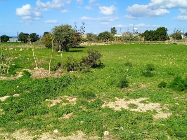 Land for Sale by Owner in Yeni Erenköy