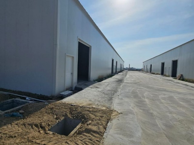 WAREHOUSE FOR RENTAL ACCORDING TO M2 SIZE IN NICOSIA HASPOLAT