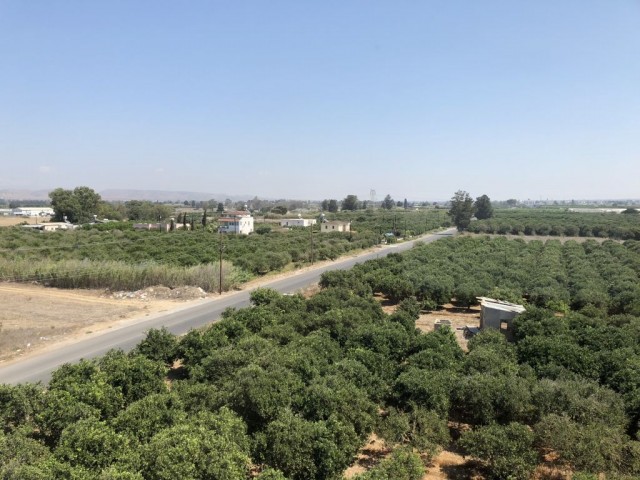 Eben Mieten in Güzelyurt Merkez, Guzelyurt