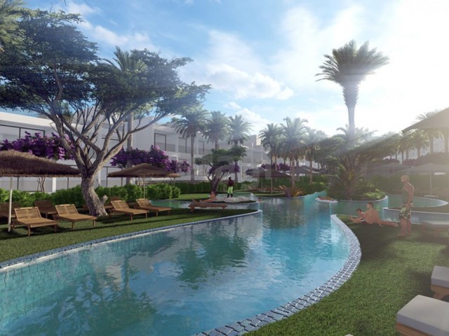 ABOUT! Bahamas! Your future Penthouse studio