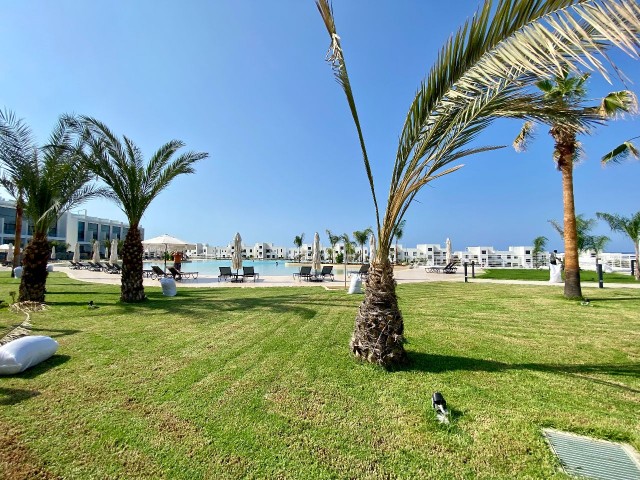 2 bedroom loft penthouse in a prestigious complex by the sea 