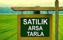 Lefkoşa Minareliköy'de kelepir tarla