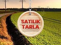 Lefkoşa Kuçuk Kaymaklı'da kelepir tarla