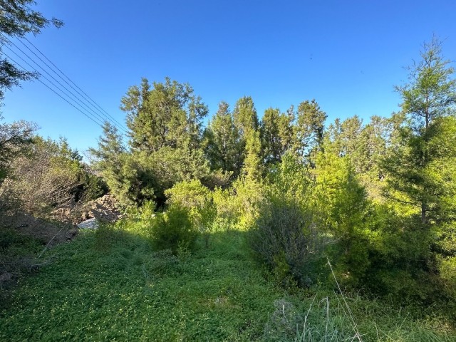 Satılık Arsa Girne Karakum deniz tarafında 