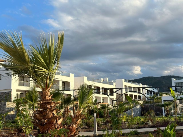 Loft 1+1, moderner, moderner Wohnkomplex Casa del Mare befindet sich in einer Wohnanlage in NotherLand