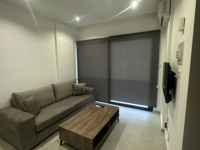 1+1 furnished flat for rent in the Center 550 STG / 0548 823 96 10