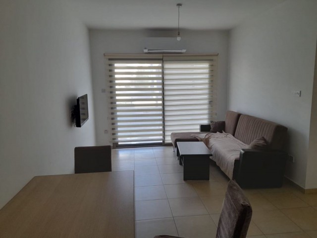 1+1 furnished 450 stg near Lawash