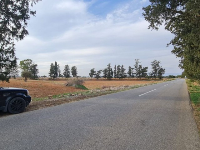 Qualified Field on Türkmenköy İnönü MAIN ROAD