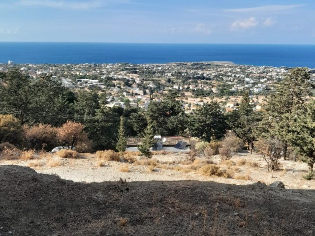 VILLA WITH A STUNNING VIEW IN KARŞIYAKA 1686 M2 TURKISH FIELD £160,000