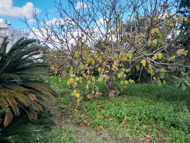 1750m2 LAND IN KARAOĞLANOĞLU WITH A RENOVATED 3+1 BUNGALOW SUITABLE FOR THE CONSTRUCTION OF TWO VILLAS. £300,000