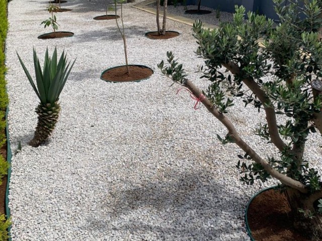 Роскошная вилла 4+1 с большим садом Чаталкёй / Кирения