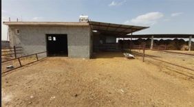 Animal Farm in 3000m2 in Dörtyol. £85,000