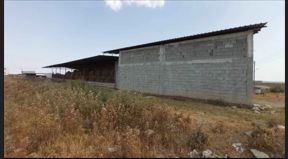 Animal Farm in 3000m2 in Dörtyol. £85,000