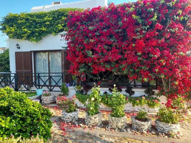 4-bedroom furnished villa in a seafront site