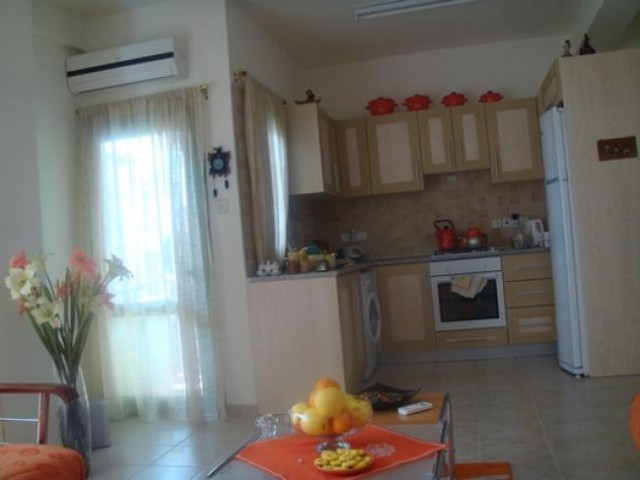 1 bed Apt with full furniture opposite Onder supermarket