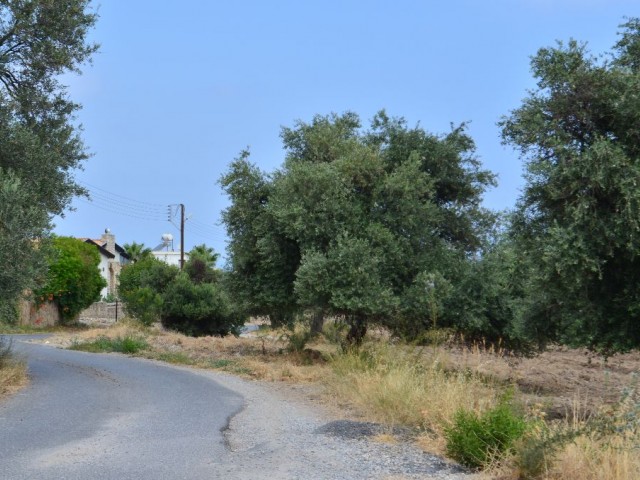Residential Zoned Plot For Sale in Ozanköy, Kyrenia