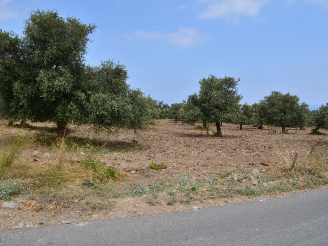 Residential Zoned Plot For Sale in Ozanköy, Kyrenia