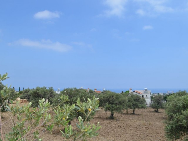 Residential Zoned Plot For Sale in Ozanköy, Kyrenia