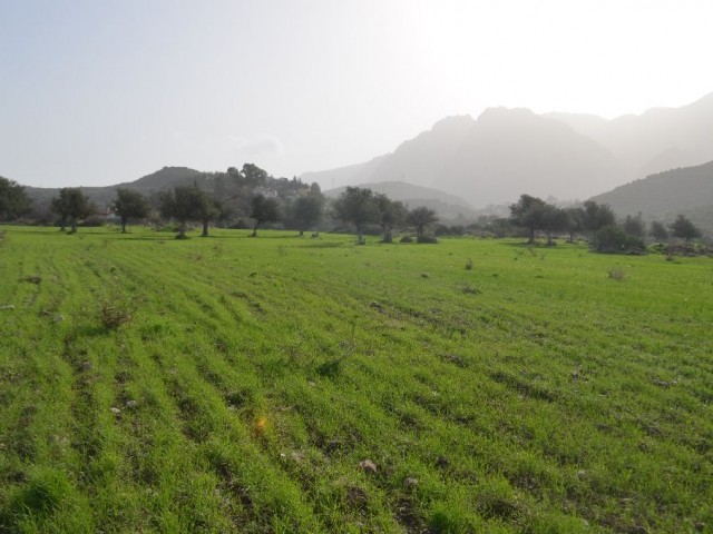 Residential Zoned Plot For Sale in Alsancak, Kyrenia