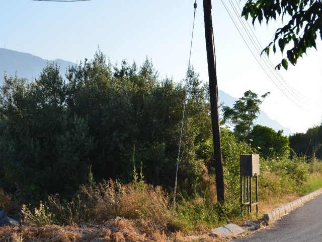 Residential Zoned Plot For Sale in Alsancak, Kyrenia