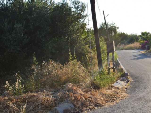 Wohngebiet Kaufen in Alsancak, Kyrenia