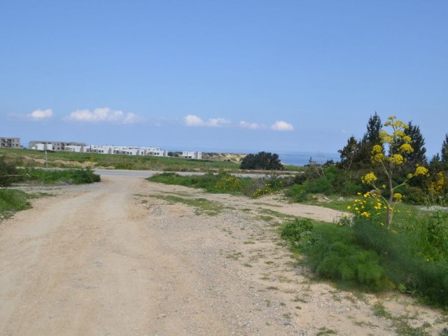 رشته برای فروش in Bahçeli, گیرنه