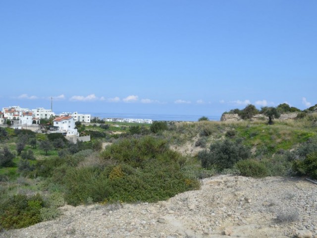 Feld Kaufen in Bahçeli, Kyrenia