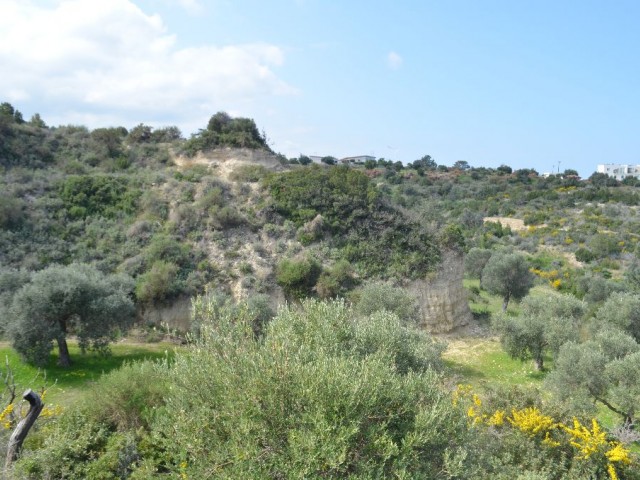 Feld Kaufen in Bahçeli, Kyrenia