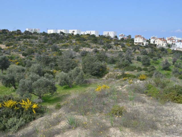 رشته برای فروش in Bahçeli, گیرنه