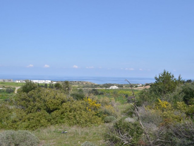 Feld Kaufen in Bahçeli, Kyrenia