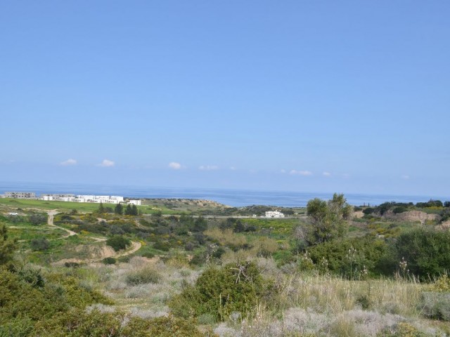 رشته برای فروش in Bahçeli, گیرنه