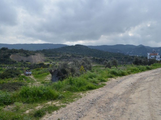 Field For Sale in Bahçeli, Kyrenia