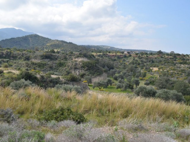 Field For Sale in Bahçeli, Kyrenia