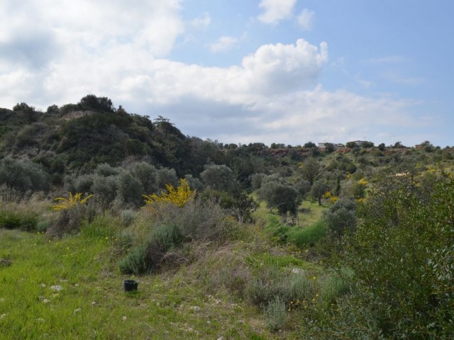 Feld Kaufen in Bahçeli, Kyrenia