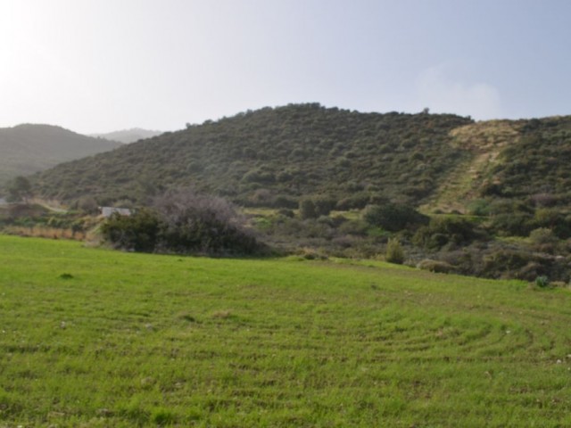 Feld Kaufen in Alsancak, Kyrenia